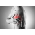 Collagène Marin - Sport Tendons, Muscles & Cartilages